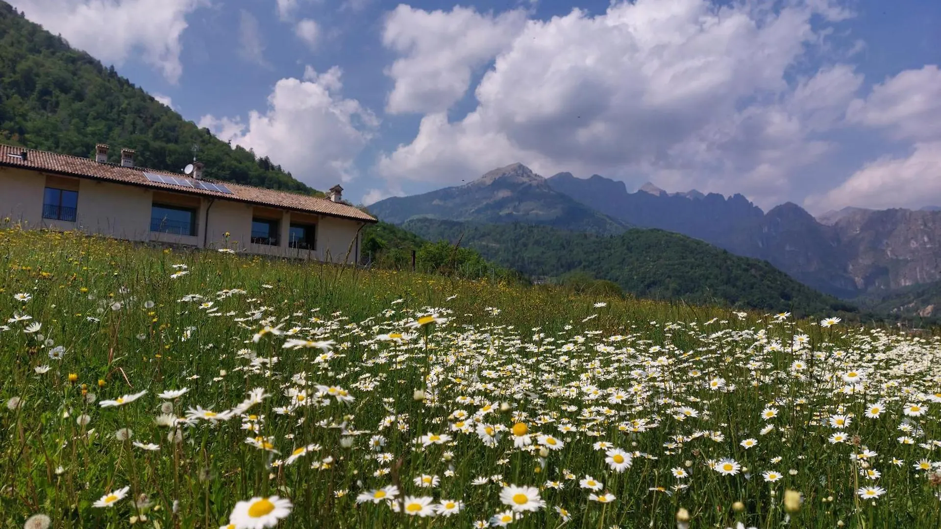ファームステイ La Casa Di Maia - Alloggio Agrituristico ペダヴェーナ イタリア
