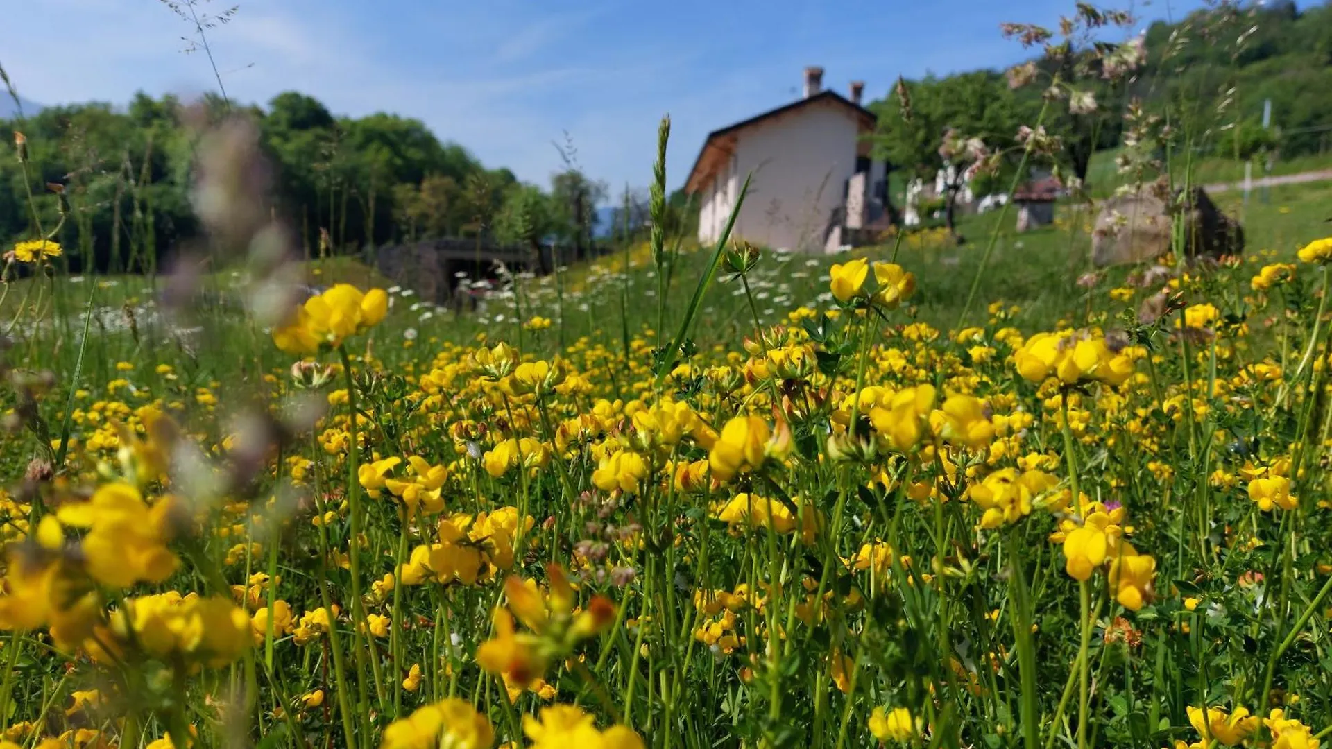 La Casa Di Maia - Alloggio Agrituristico ペダヴェーナ