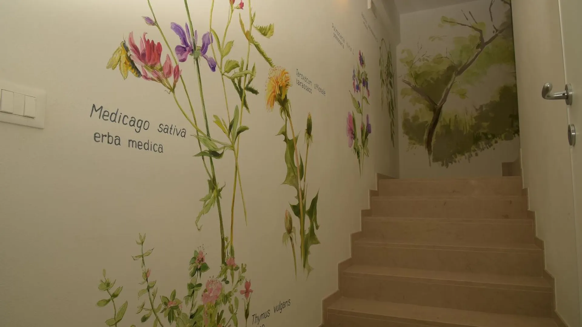 La casa di Maia - Alloggio Agrituristico Pedavena