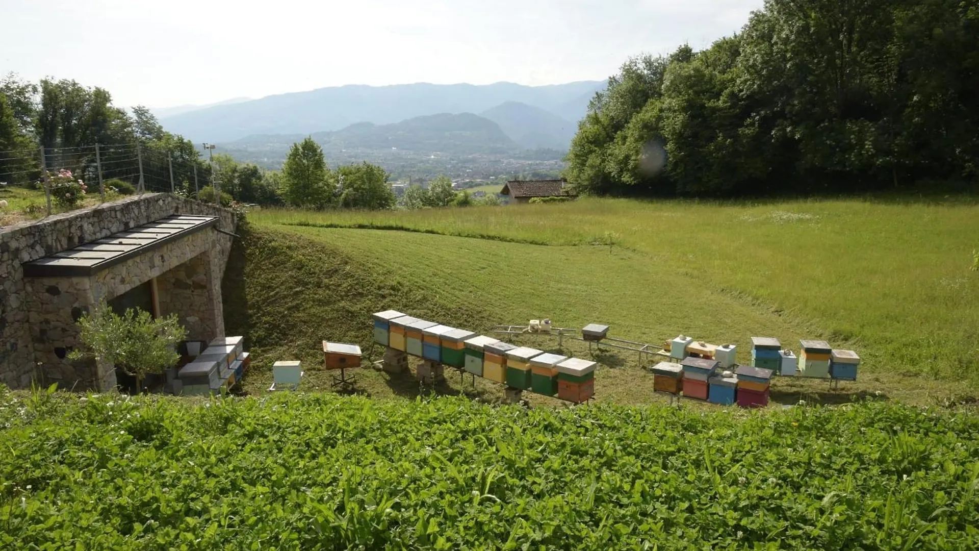 La Casa Di Maia - Alloggio Agrituristico ペダヴェーナ 0*,  イタリア